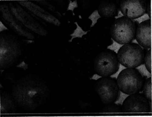 Fruits