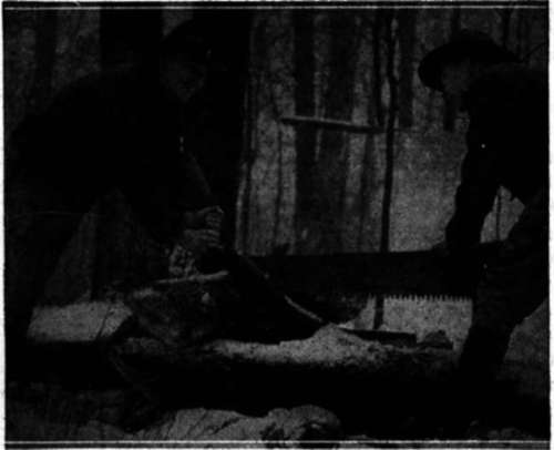 Good Turns for the Sponsoring Institution and the home