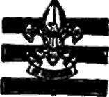 Junior Assistant Scoutmaster