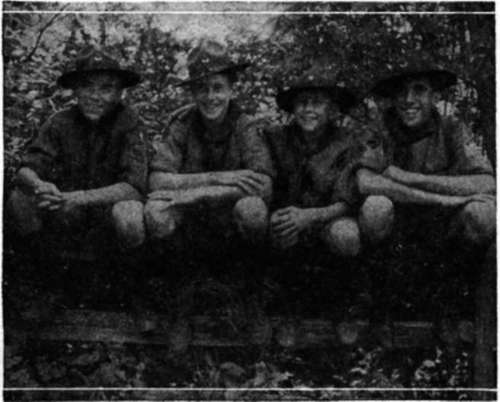 Resting on an old rail fence these four Scouts are enjoying themselves