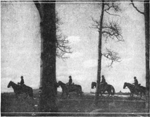 Saddle leather creaks the horses