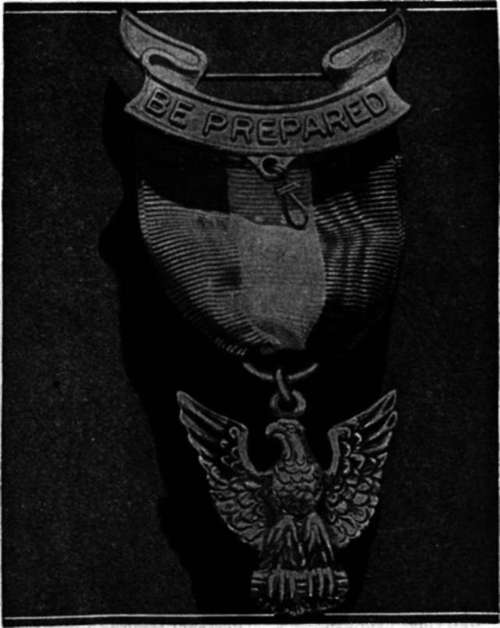 The Eagle Badge