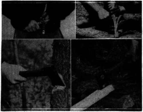 The Scout knife and axe are useful tools when properly used