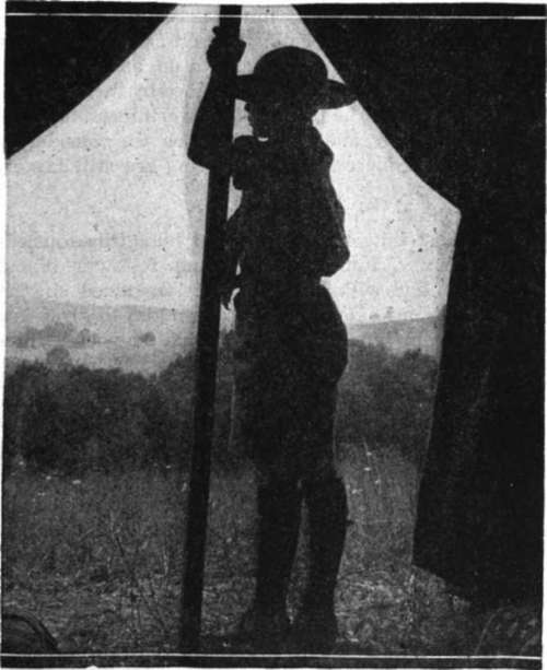 The misty dawn breaks