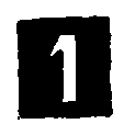 Troop Numeral