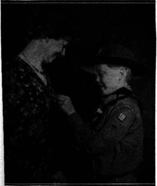 photo by F. Allan Morgan