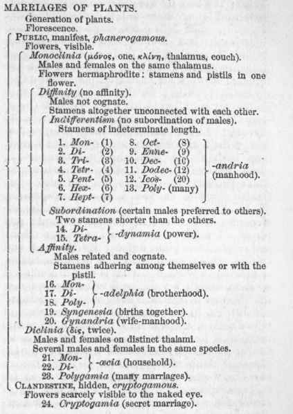 Botany 030073