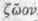 Protozoa 140012