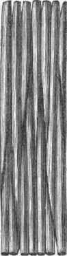 Woody Fibre and Intercellular Spaces (magnified).