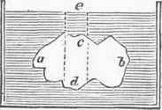 Principle of Archimedes.