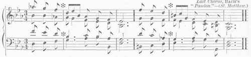Misic 120082