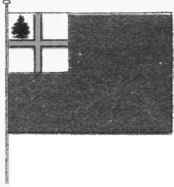 BUNKER HILL FLAG.