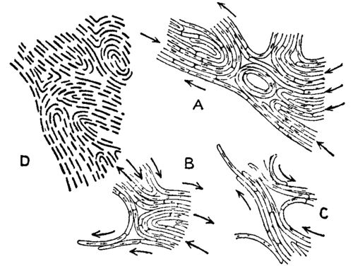 Fig. 22.  Portions of colony of Bacillus   Proteus.