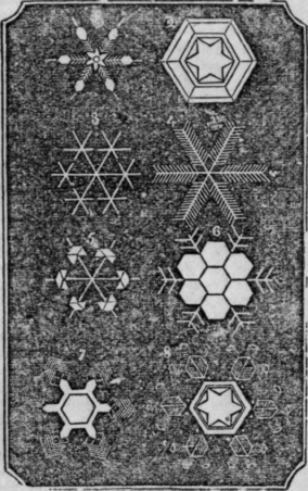 Frost And Snow 199