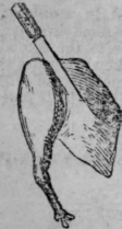 Roast Goose 464