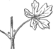 Description images/pp0178 1
