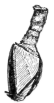 Description images/pp0202 1