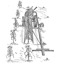 Description images/pp0498 2