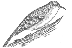 Description images/pp0518 1