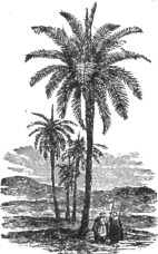Description images/pp0547 2
