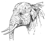 Description images/pp0052 2