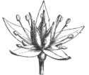 Description images/pp0137 2
