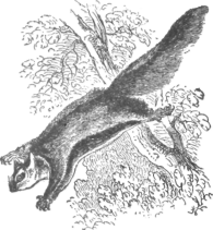 Description images/pp0141 1