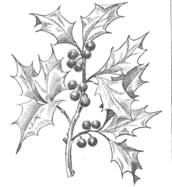 Description images/pp0348 2