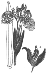 Description images/pp0408 1
