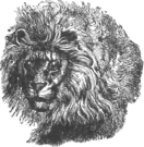 Description images/pp0548 1