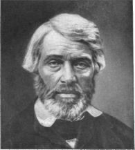 Description images/pp0564 6