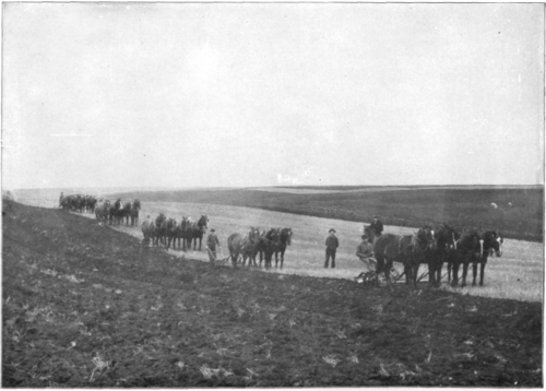 Description images/pp0038 1