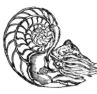 Description images/pp0200 1