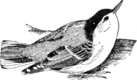 Description images/pp0256 1