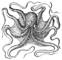 Description images/pp0262 1