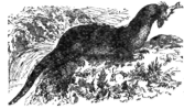 Description images/pp0291 1