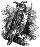 Description images/pp0294 1