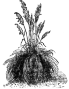Description images/pp0307 1
