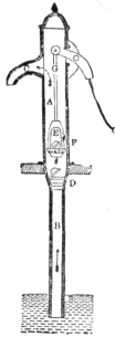 Description images/pp0462 1