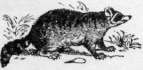 Description images/pp0480 1