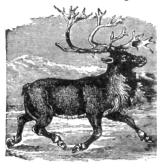 Description images/pp0502 1