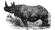 Description images/pp0509 1