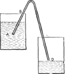 Description images/pp0067 1