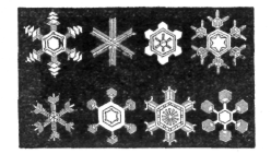 Description images/pp0080 2