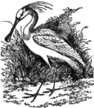 Description images/pp0111 1