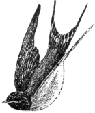 Description images/pp0162 1