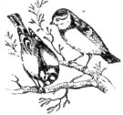 Description images/pp0227 1