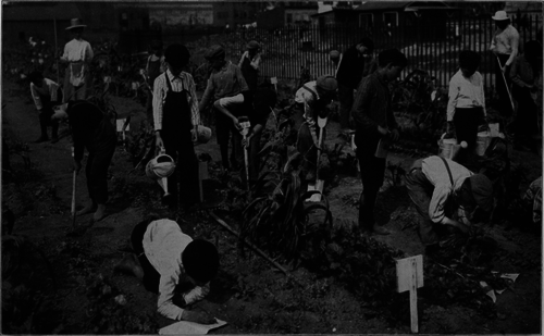 Boys At Work In A School Garden Under Direction Of A Teacher