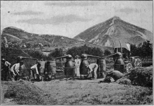 Fig. 190.   Distillation of lavender in the environs of Castellane. Roure Bertrand Fils.