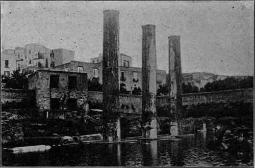 Columns of the Serapeum; Pozzuoli, Italy.